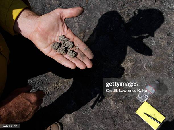 The hand of Soil Scientist Todd J. Ellsworth of US Forest Service and Manager of Forest BAER holding soil clumps to check the composition of the soil...