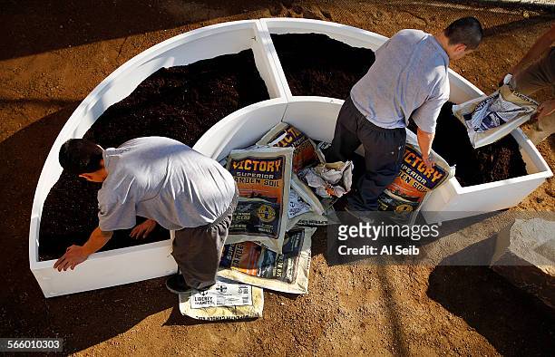Incarcerated youth fill planters with soil to plant a vegetable garden at the Barry J Nidorf Juvenile Hall in Sylmar on October 16 , 2013. The youth...