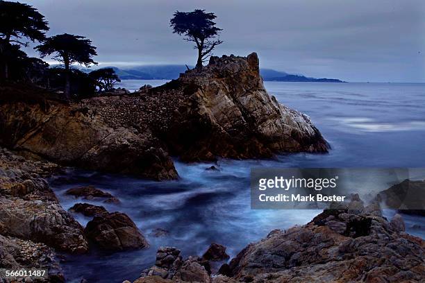 Tourists come to the seaside village of Carmel, California for the quaint restaurants and lodging but they stay to see the Lone Cypress in nearby...
