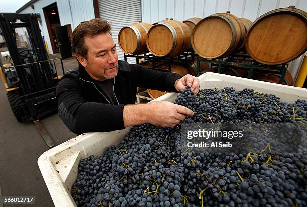 Steve Clifton, winemaker and owner of Palmina Winery at his Lompoc facility with a delivery of fresh picked Barbera grapes on October 25, 2013 where...