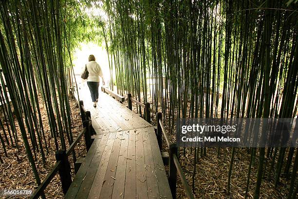 Overall, shows the bamboo forest located in the Japanese Garden on the grounds of the Huntington Library in San Marino on April 9, 2009.