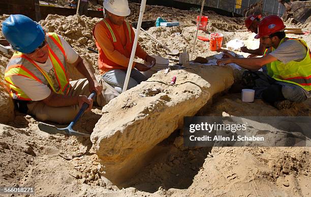 Paleontologists Brad Riney, Gino Calvano, Christopher Plouffe, Joe El Adli, all with the San Diego Natural History Museum, excavate a 3...