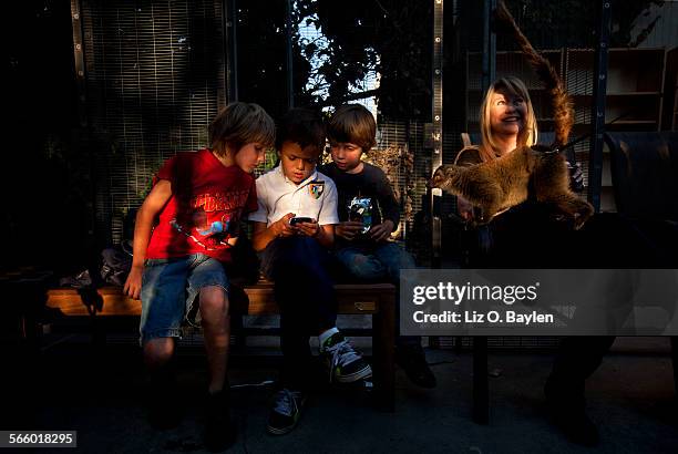 Sitting on the lap of Jill Keenan, Brown Lemur "Taj" peers over to get a better look at boys Aiden Molnar Damon Potter and Kayden Edwards who...