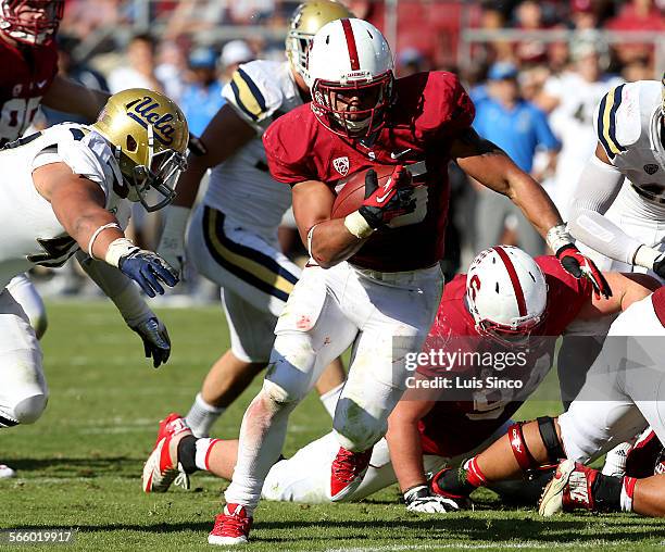 Stanford running back Tyler Gaffney takes the ball to the Bruin two-yard line in the fourth quarter Saturday, Oct. 19 at Stanford Stadium in Palo...