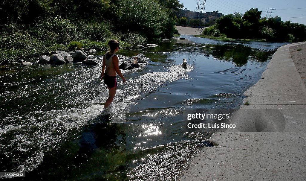 Glendale resident Sarita Vidal and her springer spaniel Jeni cool off in the Glendale Narrows area