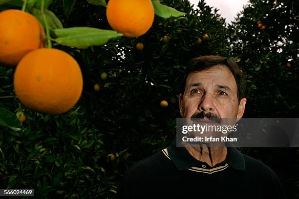 Gless Ranch 135 Citrus Grower Stock Photos, High-Res Pictures, and Images - Getty ...