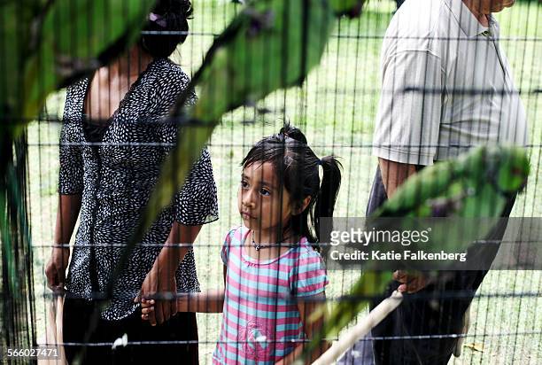 Girl looks at birds for sale in one of the vendor stands during the 32nd Lotus Festival in Echo Park  a celebration of the people and cultures of...