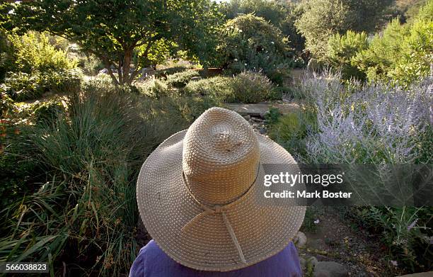 Wearing her broadbrimmed sun hat Sarah Sarkissian surveys her water fiendly front yard consisting partly of Coast live oak, Mexican primrose, Coyote...