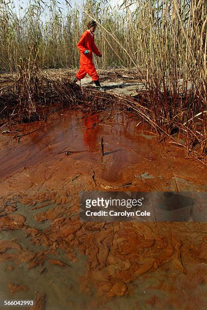 Greenpeace senior campaigner, Lindsey Allen takes water samples along a 20yard area of marsh where oil is thick in concentration near the south pass...