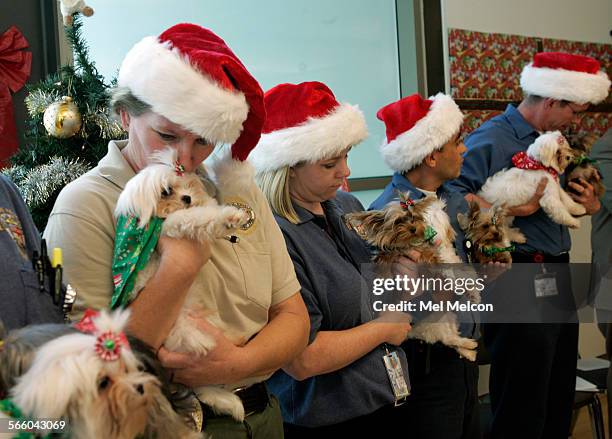 84 Los Angeles East Valley Animal Care Center On Photos and Premium High Res Pictures - Getty Images 84 Los Angeles East Valley Animal Care Center On Photos and Premium High Res Pictures - Getty Images