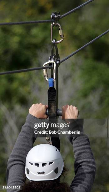 As part of their effort to spruce up the image of Catalina as a world class tourist destination, the Santa Catalina Island Company has created a 3100...