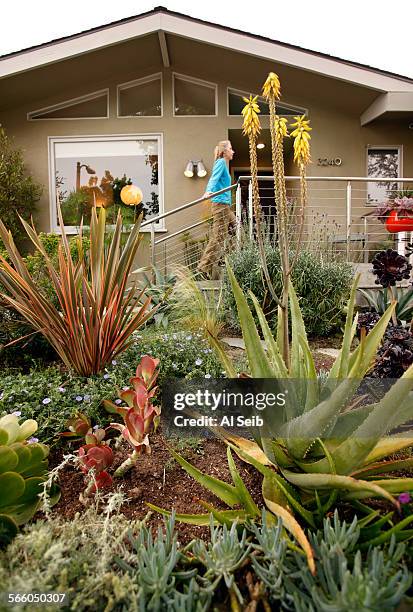 Randy Bergman walks to the front door of her home in the Cheviot Hills neighborhood of Los Angeles. Bergman's front yard is very drought tolerant...