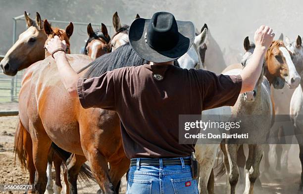 Shorty Gorham leads a herd of rodeo horses between corrals on Rancho Mission Viejo on August 22, 2008. The former rodeo competitor now orchestrates...