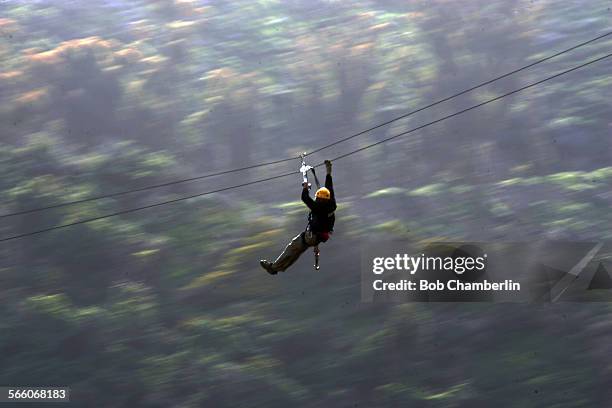 As part of their effort to spruce up the image of Catalina as a world class tourist destination, the Santa Catalina Island Company has created a 3100...