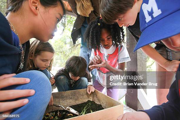 Schoolworm 411 Composting Worms Stock Photos, High-Res Pictures, and Images ...