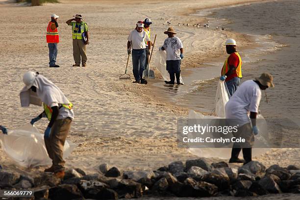 Cleanup crew hired by BP contractors walks the beach in Lakeshore, Mississippi, near Waveland, looking for trash and other matter to pick up....