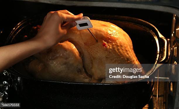 thermometer into a roasted turkey - thermometer turkey stock pictures, royalty-free photos & images