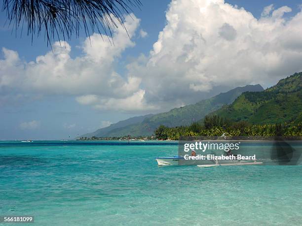 turquoise waters of moorea - tahiti photos et images de collection