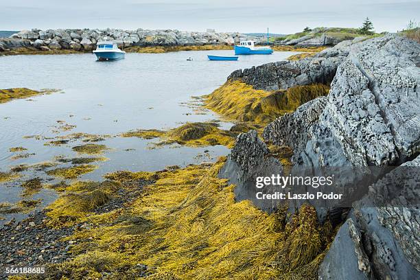 Blue Rocks Ns Blue Rocks Nova Scotia Photos and Premium High Res Pictures - Getty Images