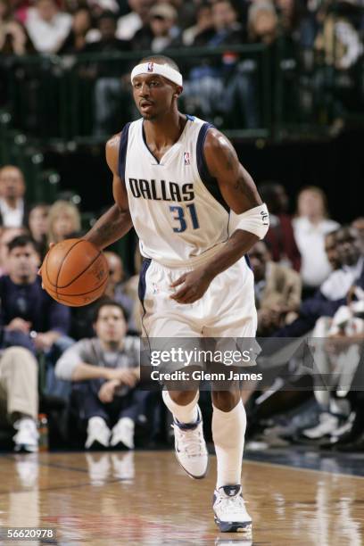 Jason Terry of the Dallas Mavericks dribbles against the Minnesota Timberwolves during the game at American Airlines Arena on December 18, 2005 in...