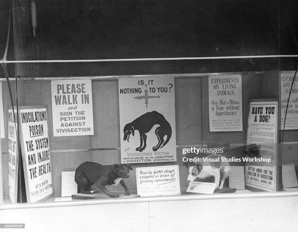 Store Front Promoting The Petition Against Vivisection