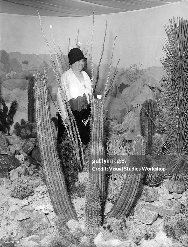 Mrs Sherman Hoyt & Her Cactuses