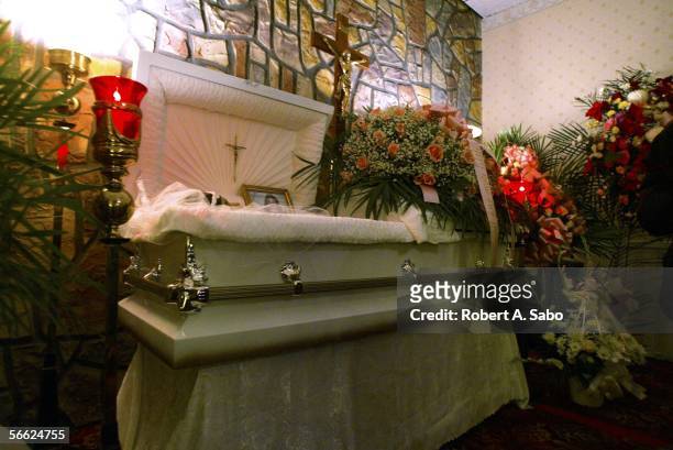 Nixzmary Brown's body lies in a casket at her wake at the Ortiz Funeral Home January 16, 2006 in New York. The abuse case is another in a string of...