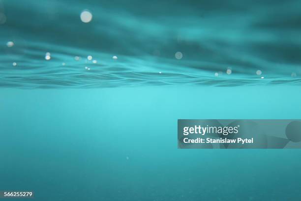 underwater view on blue surface of water - onder water stockfoto's en -beelden