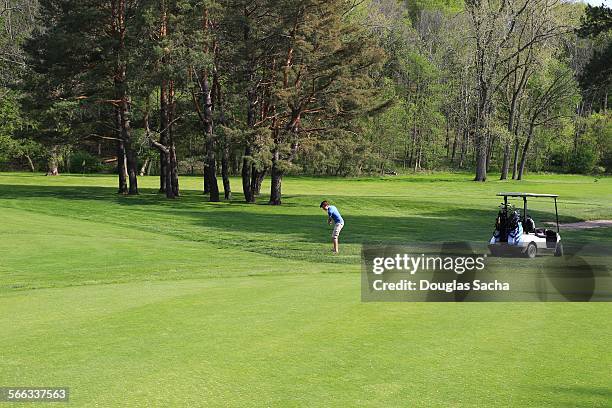 golfer and cart on the fairway - arab men playing cards stockfoto's en -beelden