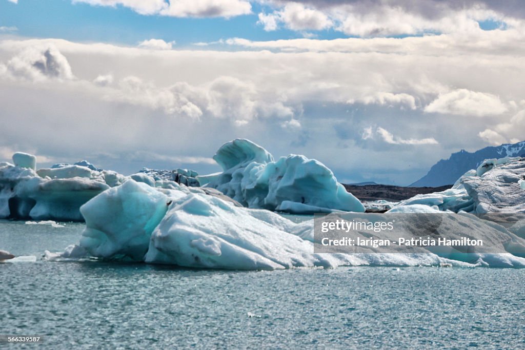 Icebergs from the Breidamerkur glacier