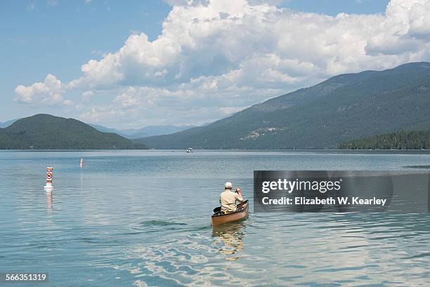 summer fun - lake whitefish stock-fotos und bilder