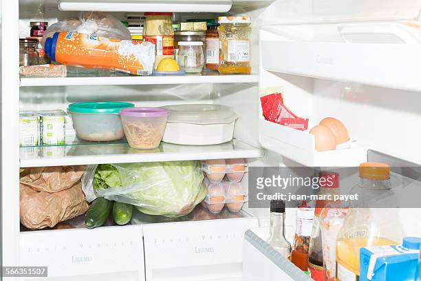 Inside fridge and the door full of food, France