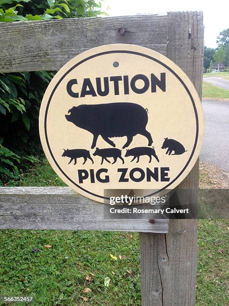 74 Oddest Signs Stock Photos, High-Res Pictures, and Images - Getty Images