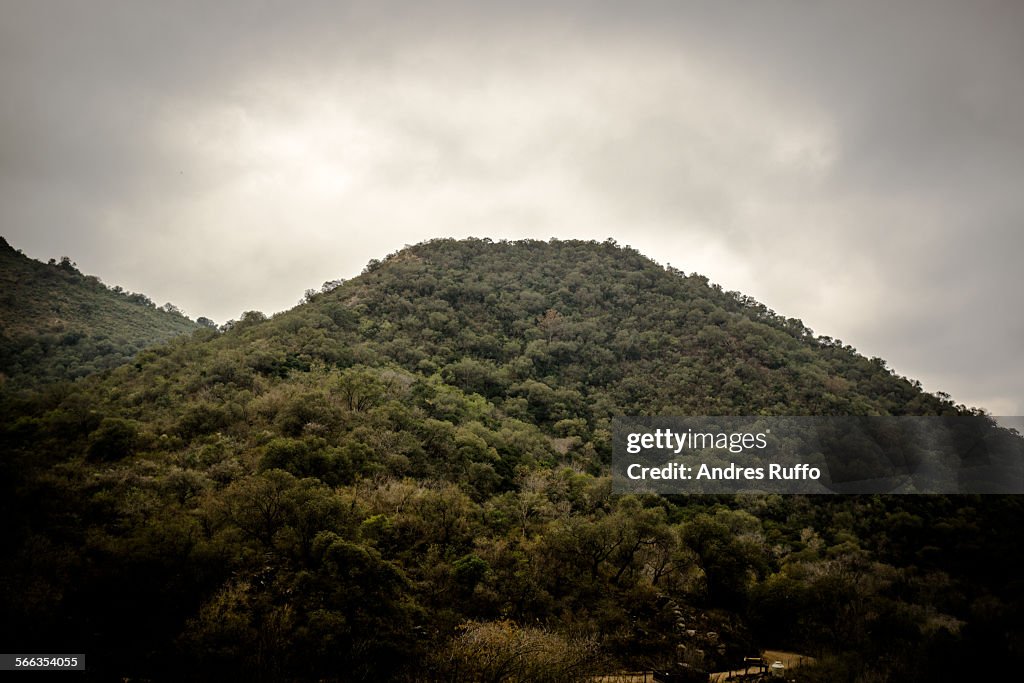 Mountain Tops