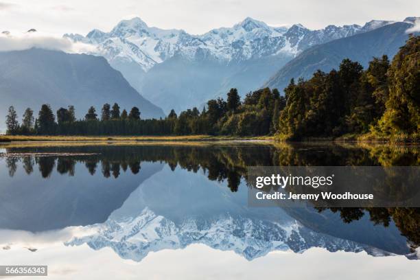 mountains and forest reflecting in still lake, fox glacier, south westland, new zealand - westland isla del sur de nueva zelanda fotografías e imágenes de stock