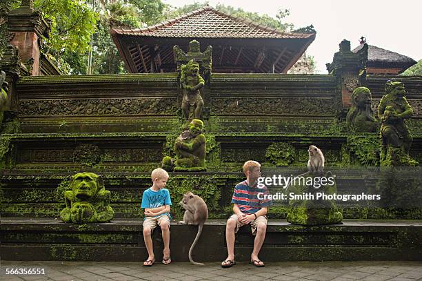 caucasian brothers examining monkeys on ruins - monkey shoes stockfoto's en -beelden