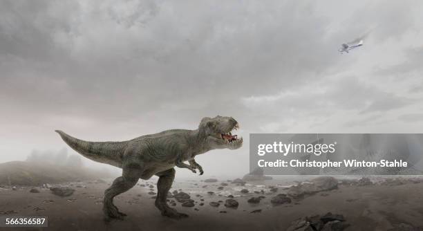 airplane flying over dinosaur in rocky field - dinosaur tracks stock pictures, royalty-free photos & images