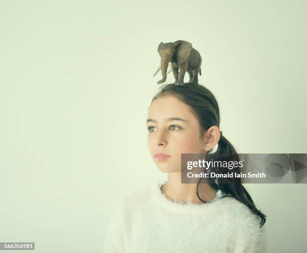 mixed race girl holding toy elephant on head - white elephant stock-fotos und bilder