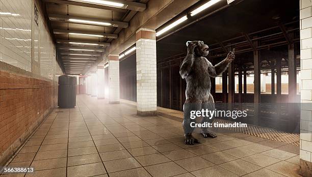 chimpanzee on the subway with headphones - schimpansen gattung stock-fotos und bilder