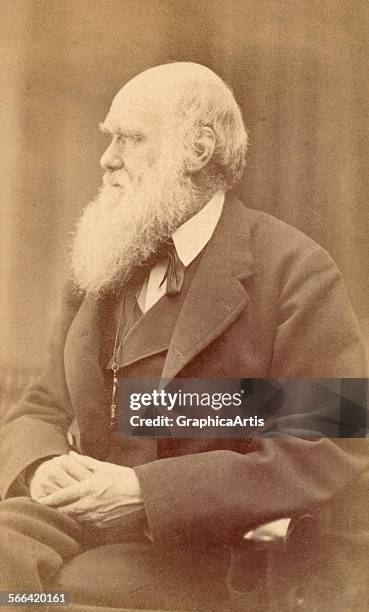 Portrait of Charles Darwin at age 72, by Oscar Gustave Rejlander ; albumen photograph, circa 1871.