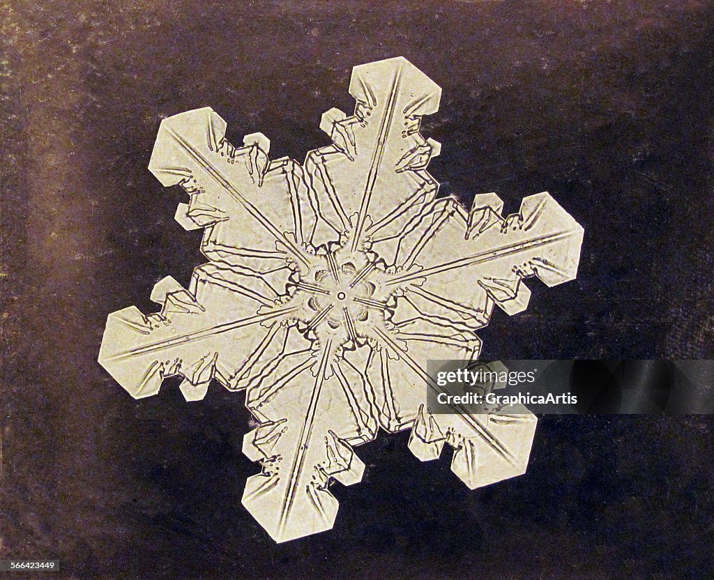 Study Of A Snowflake