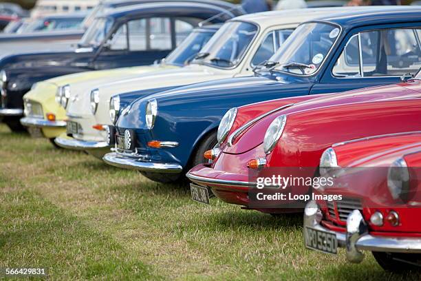 Series of classic cars parked at Goodwood revival.