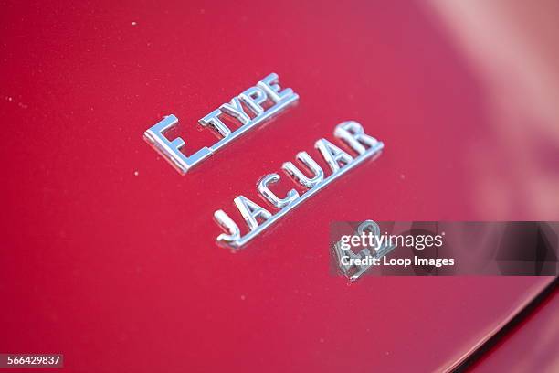 Close up view of a Jaguar E Type classic car at Goodwood revival.