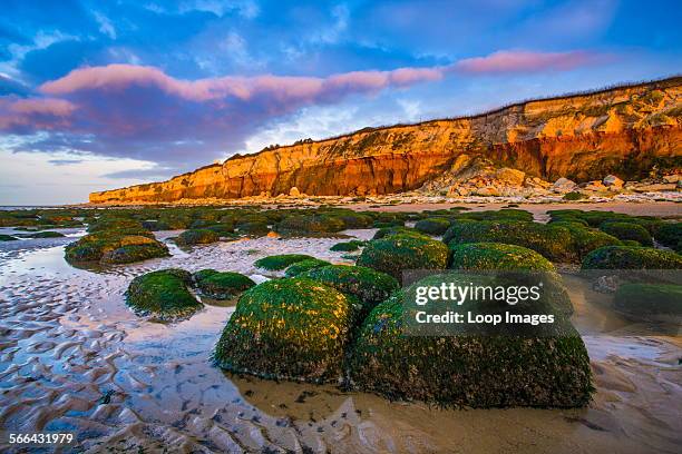 Hunstanton cliffs showing the layers of differnt rock.