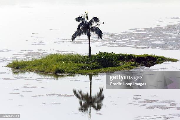 Myanmar Inya Background Inya Lake Photos and Premium High Res Pictures - Getty Images
