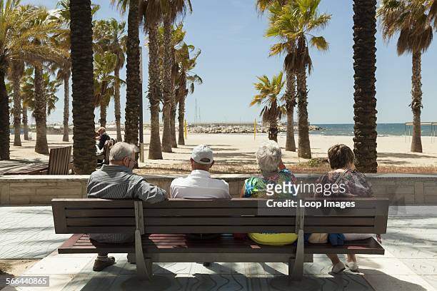 Back view of tourists resting on bench looking at palm tree covered beach.