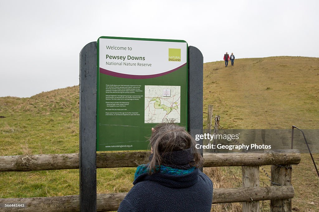 Pewsey Downs national nature reserve, Wiltshire, England