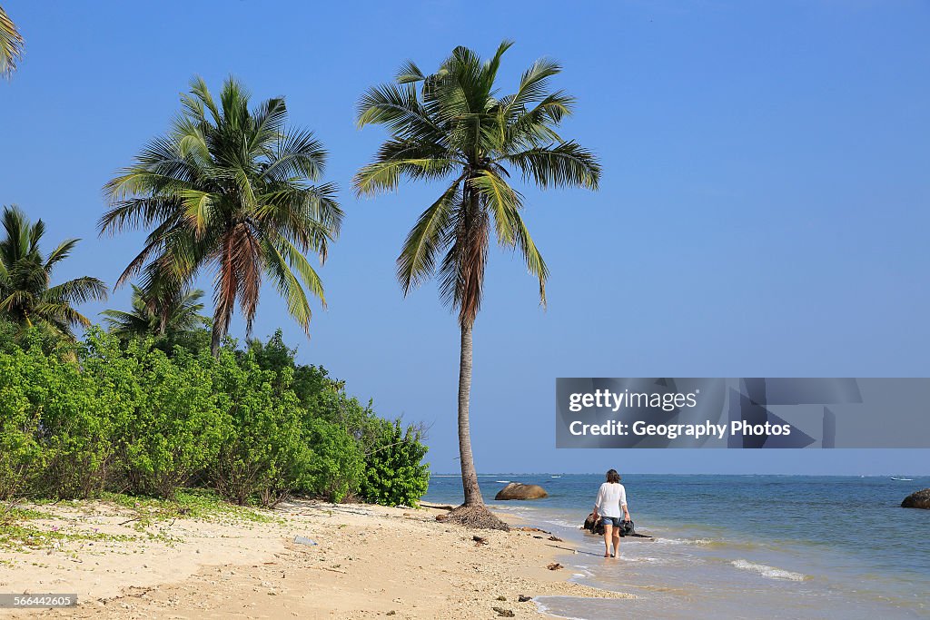 Woman walking on sandy tropical beach at Pasikudah Bay, Eastern Province, Sri Lanka