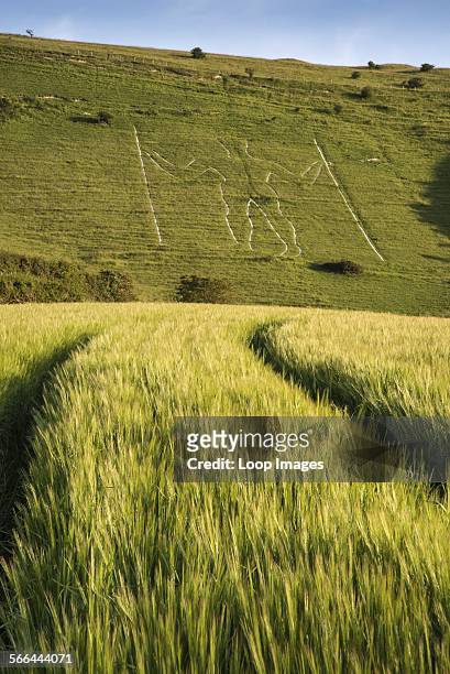 Landscape image of Long Man of Wilmington ancient chalk carving.