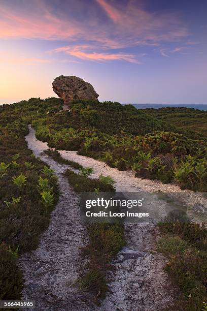 Agglestone Agglestone Rock Photos and Premium High Res Pictures - Getty Images